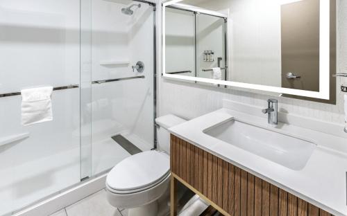a bathroom with a toilet and a sink and a shower at Holiday Inn Dublin - Pleasanton by IHG in Dublin
