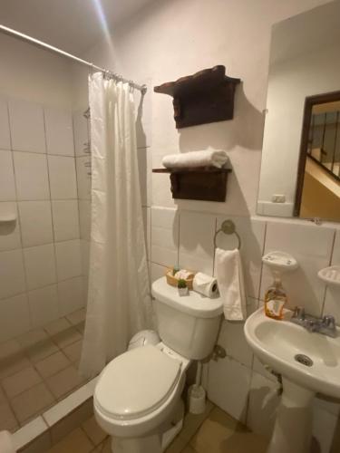 a white bathroom with a toilet and a sink at Hostal Fuente Castalia, B y B in León