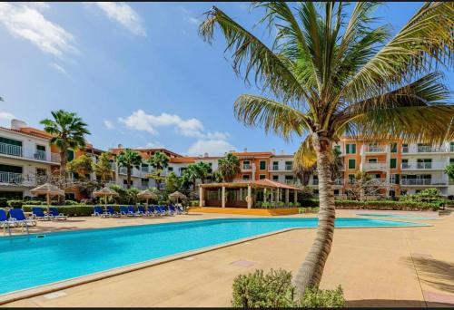 a palm tree next to a swimming pool at a resort at condomínio vila verde Pepper T0 e T1 in Santa Maria