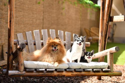 two dogs are sitting on a wooden bench at Kasuian in Kyoto