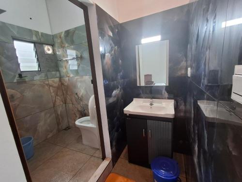 a bathroom with a sink and a shower and a toilet at Golden cherry in Munnar