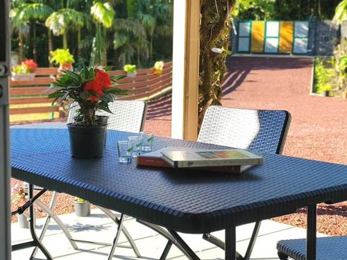 Сад в Chambre Pétrel - FR-1-786-61