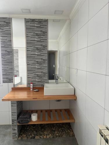 un baño con lavabo y espejo en Camping Los Cardones, en Gobernador Gregores