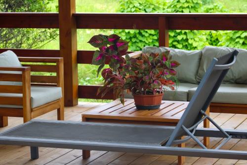 a chair and a table with a plant on a porch at Villa Barthelemy - Gite 2 in Goyave