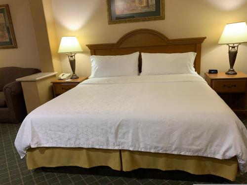 a large bed in a hotel room with two lamps at Holiday Inn Express Hotel and Suites Alice by IHG in Alice