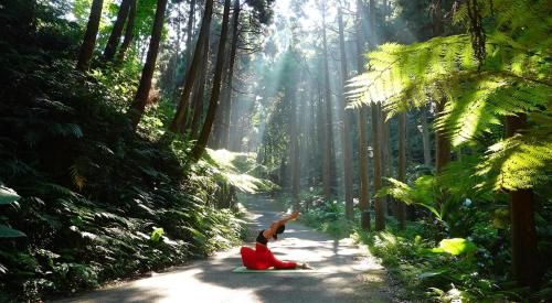 a woman riding a skateboard down a road in a forest at Hide A Way - Vacation STAY 90104v in Nishinoomote