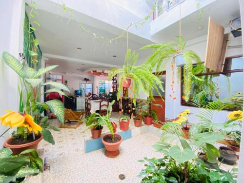 a room filled with lots of potted plants at Sarisa House in Iquitos