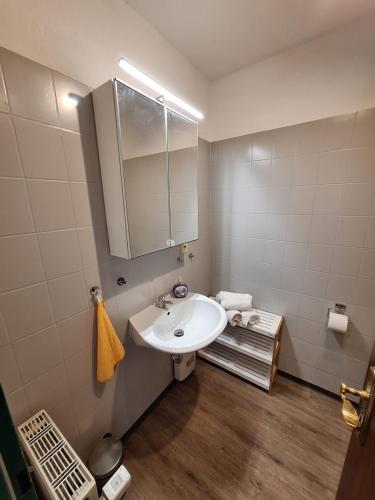 a bathroom with a white sink and a mirror at Elbidylle Ferienwohnung in Barby am Elberadweg in Barby