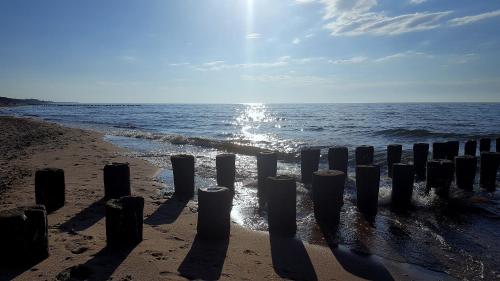 a group of wooden posts on the beach at Pokoje Przy Plaży in Mielno