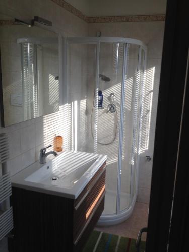 a bathroom with a shower and a white sink at La Spiga in Rieti