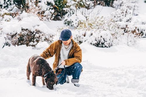 a man kneeling in the snow with a dog at Ooka Tsuji - tsuji-oooka - - Vacation STAY 01156v in Chikuma