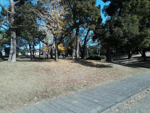 a park with trees and a brick sidewalk at Minpaku Yamamoto - Vacation STAY 13869 in Izumiotsu
