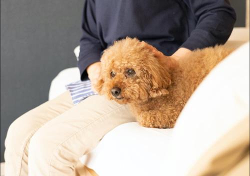 Gallery image of STELLA SPORTS - Vacation STAY 46140v in Nishimera