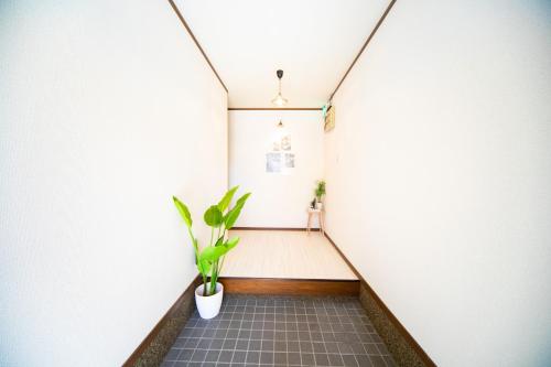 a corridor of a room with a plant at Yokkaichi - House - Vacation STAY 14171 in Yokkaichi