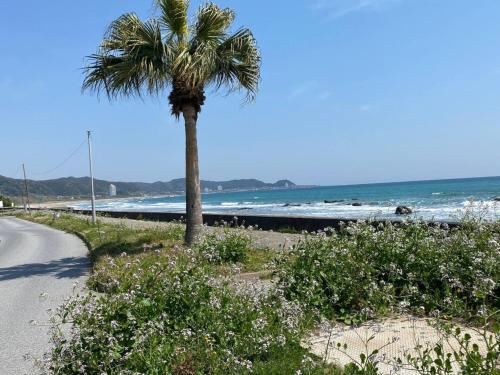 a palm tree on the side of a beach at Oasis Wadaura - Vacation STAY 89769v in Kamogawa