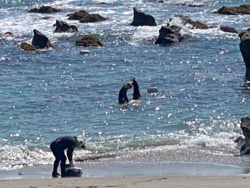 a group of people standing in the water at the beach at Oasis Wadaura - Vacation STAY 89769v in Kamogawa