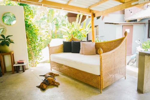 a dog on a leash tied to a wicker porch swing at Yay Lodge SIARGAO, private room 1 with AC & hot shower and fast Starlink Wifi in General Luna