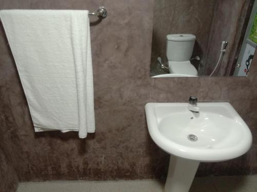 une salle de bain avec un lavabo et un miroir et des toilettes dans l'établissement Rangiri Villa Sigiriya, à Dambulla