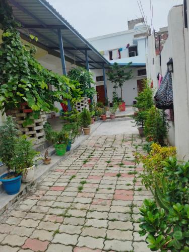 a walkway with potted plants on the side of a building at Kanak Bihari Yatri Niwas, 100 Meter Ram Ki Paidi, Saryu River in Ayodhya