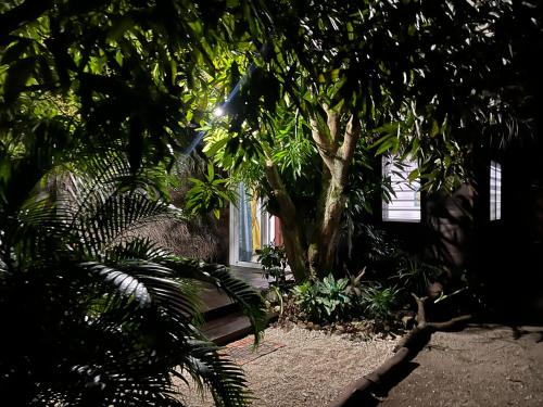 a house with a tree and a bench in front of it at Fare VĪ in Puahua