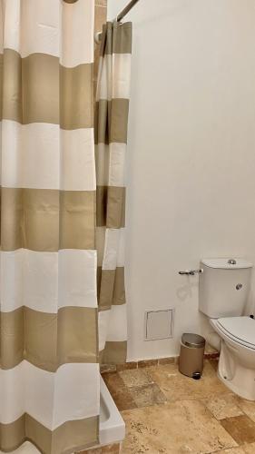 a bathroom with a shower curtain and a toilet at Hôtel de la paix in Limoges