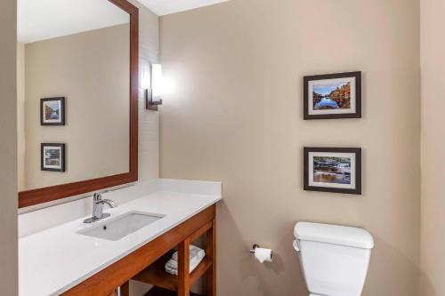 a bathroom with a sink and a mirror at Comfort Inn & Suites in City in the Village of Clarkson