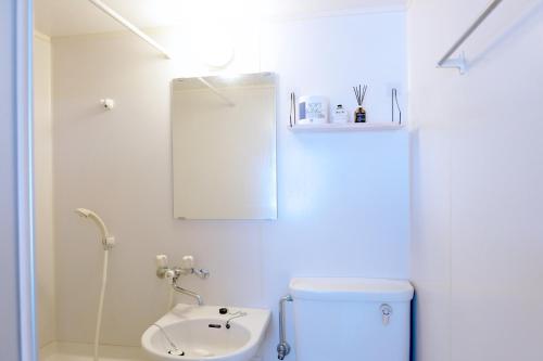 une salle de bain avec toilettes, lavabo et miroir dans l'établissement Daiichi Mitsumi Corporation - Vacation STAY 15266, à Musashino