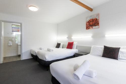 two beds in a room with white walls at The Grampians Motel in Halls Gap