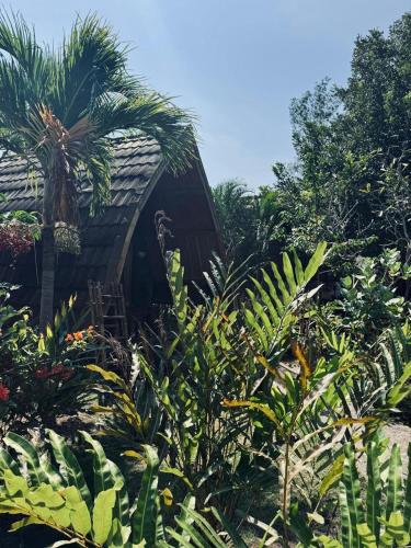 a house with a palm tree in the middle of plants at Rising Sun Bungalows in Gili Meno