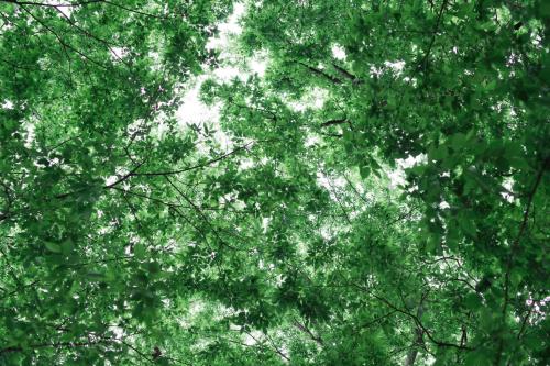 Peisaj natural din apropierea acestui camping
