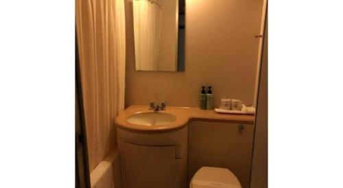 a bathroom with a sink and a toilet and a mirror at AKISAWA HOTEL in Shimanto
