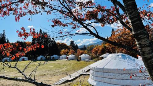 a group of tents in a field with trees at mini mongolia campsite - Vacation STAY 42129v in Makito