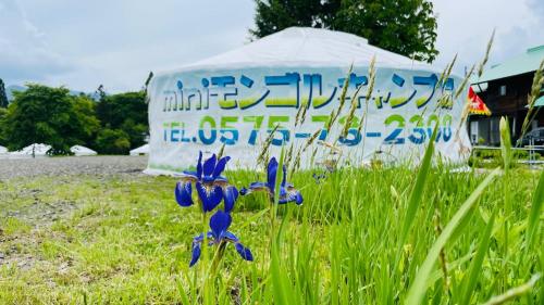 a group of blue flowers in the grass with a tent at Mini Mongolian Campsite - Vacation STAY 84050v in Makito