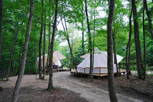 two tents in the middle of a forest at Glamping Azumino BASE Polecamp - Vacation STAY 08105v in Azumino