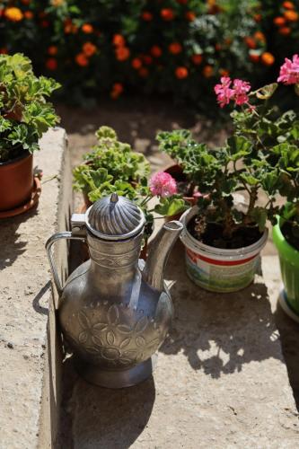Zahrada ubytování Light of Heart Homestay