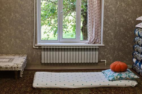 Fotografie z fotogalerie ubytování Light of Heart Homestay v destinaci Arslanbob