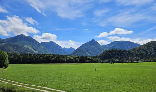 a large green field with mountains in the background at Lippingergut - Urlaub im Wolfgangseetal - Ferienwohnung EG in St. Wolfgang