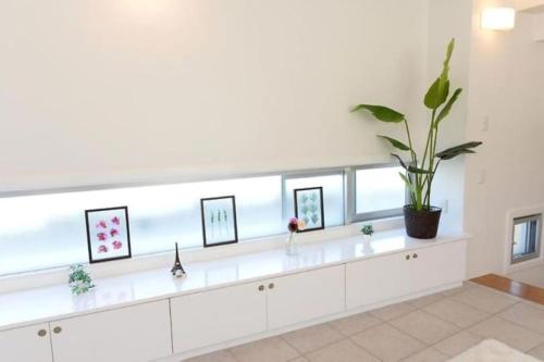 a white counter with a plant in a room at Red Dragon - Vacation STAY 15430 in Urasoe