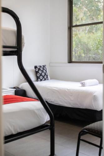 two beds in a room with a window at The Grampians Motel in Halls Gap