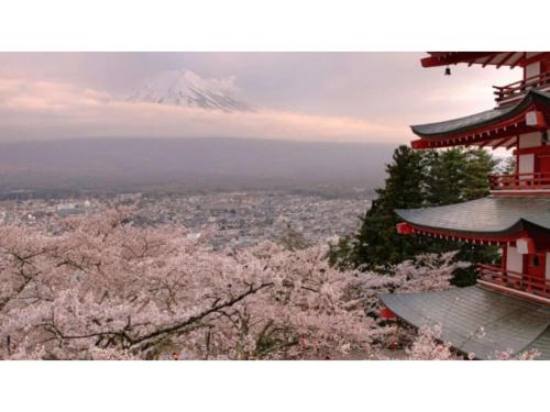 a mountain in the distance withakuraakura trees in the foreground at Asama no Iori - Vacation STAY 00999v in Fujiyoshida