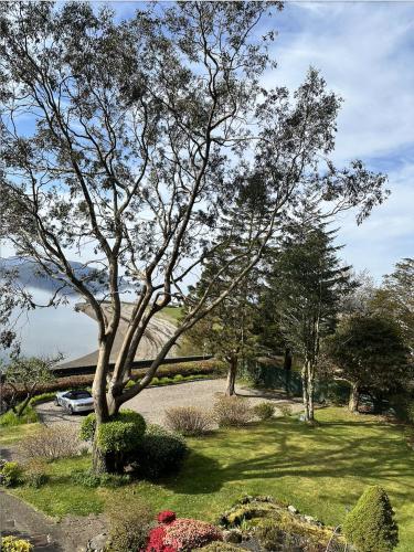 a tree in the middle of a yard with flowers at Camus House, Lochside Guest House in Onich