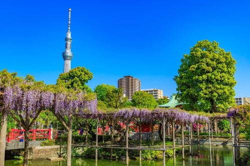 Kamei House - Vacation STAY 07100v