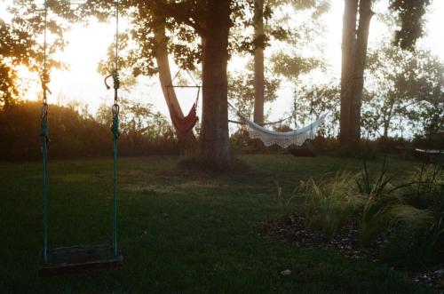 a hammock in the middle of a yard with trees at De rulinen in Saint-Clet