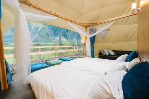 two beds in a tent with a window at SPRINGS VILLAGE Ashigara-Tanzawa Hot Spring Resort & Glamping - Vacation STAY 42321v in Oyama