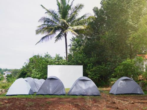 a group of four tents in front of a palm tree at Primal Camping in Yelagiri