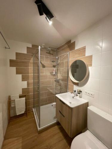 a bathroom with a shower and a sink and a toilet at Appartement cocooning à Charmey in Charmey