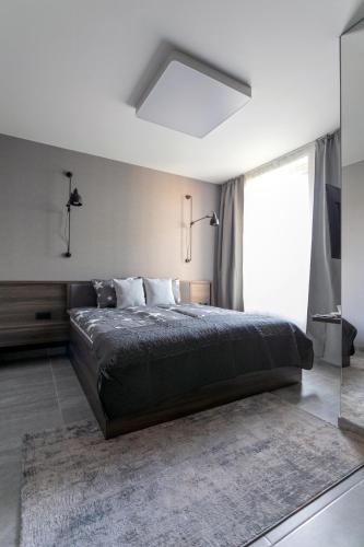 a bedroom with a large bed and a large window at LUONG Europe Apartments in Prague