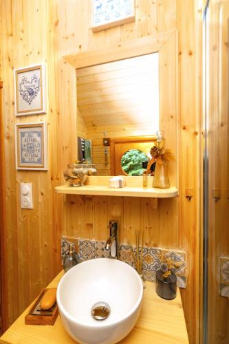 a bathroom with a sink and a mirror at Roulotte Les Deux Geais in Sainte-Opportune-du-Bosc
