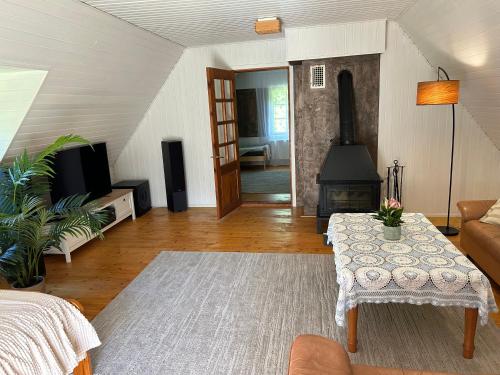 a living room with a table and a fireplace at Merineitsi in Vintri