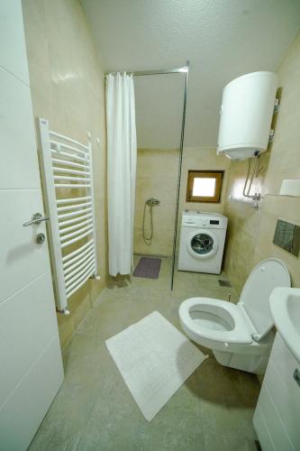 a bathroom with a toilet and a shower and a sink at Apartman SAN in Banja Koviljača